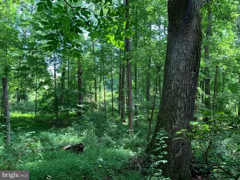 Etzler Road, Frederick, MD 21702 photo 16