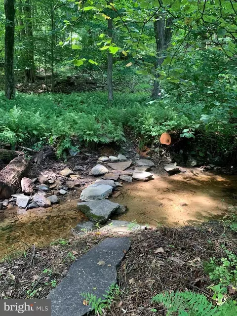 Etzler Road, Frederick, MD 21702 photo 13
