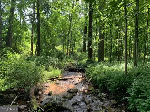 Etzler Road, Frederick, MD 21702 photo 12