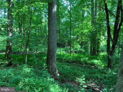 Etzler Road, Frederick, MD 21702 photo 18