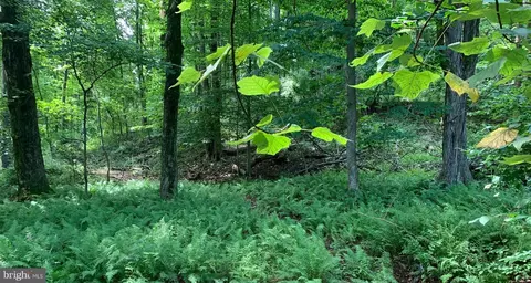 Etzler Road, Frederick, MD 21702 photo 15