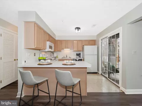 6505 Springwater Ct #7302, Frederick, MD 21701 photo 20