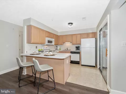 6505 Springwater Ct #7302, Frederick, MD 21701 photo 19
