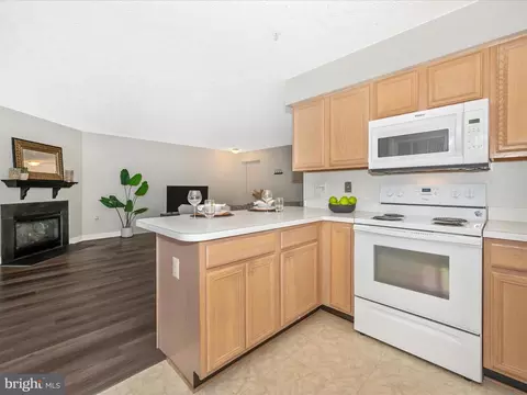 6505 Springwater Ct #7302, Frederick, MD 21701 photo 25