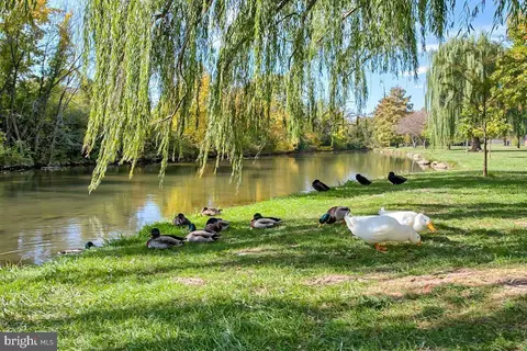 205 Grove Blvd, Frederick, MD 21701 photo 57