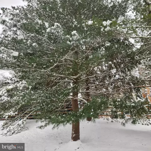 2408 Ellsworth Way #1B, Frederick, MD 21702 photo 29
