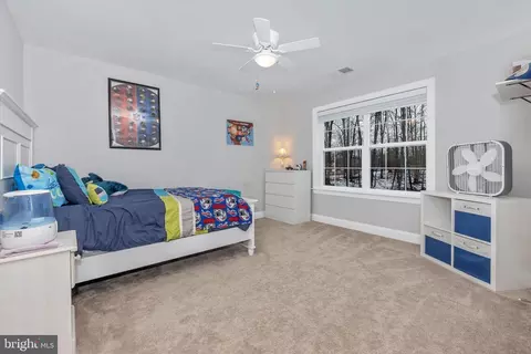 8223 Ball Rd, Frederick, MD 21704 photo 43