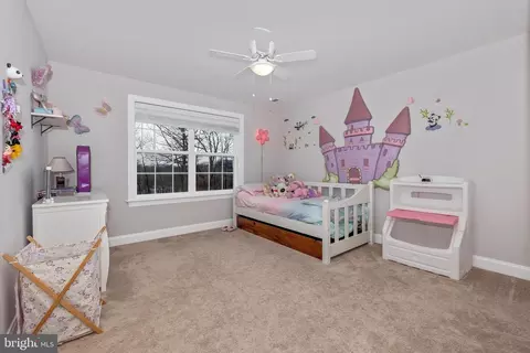 8223 Ball Rd, Frederick, MD 21704 photo 48