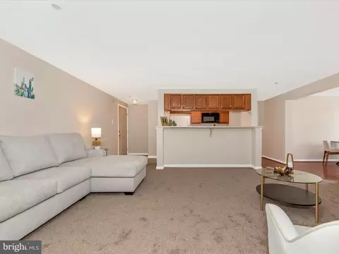 Living - 609 Himes Ave #103, Frederick, MD 21703 photo 5 of 8