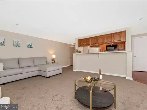 Living - 609 Himes Ave #103, Frederick, MD 21703 photo 6 of 8