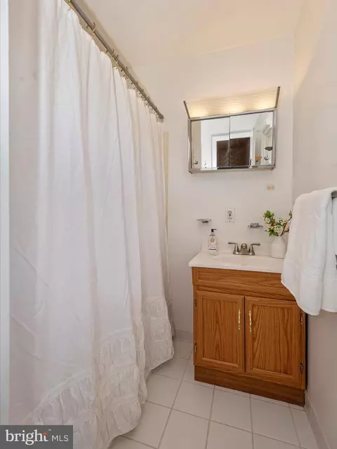 Bath - 1131 Young Pl, Frederick, MD 21702 photo 3 of 5