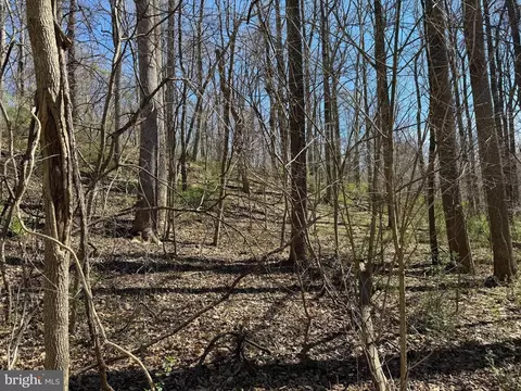 Parcel 2 Sumantown Road, Middletown, MD 21769