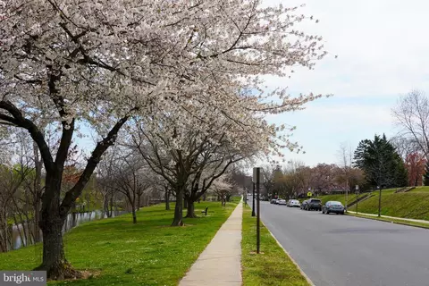 View/Area - 114 W 5th St, Frederick, MD 21701 photo 11 of 11
