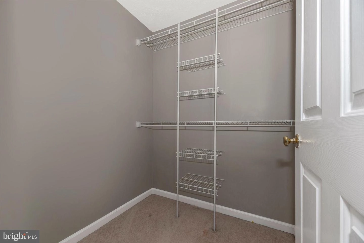 Other - 903 Blue Leaf Ct #6 2B, Frederick, MD 21701 photo 6 of 8