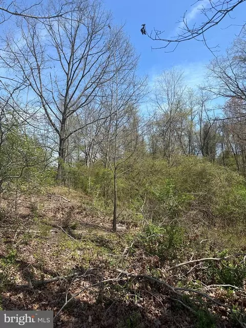 5760 Bartonsville Rd S, Frederick, MD 21704 photo 25