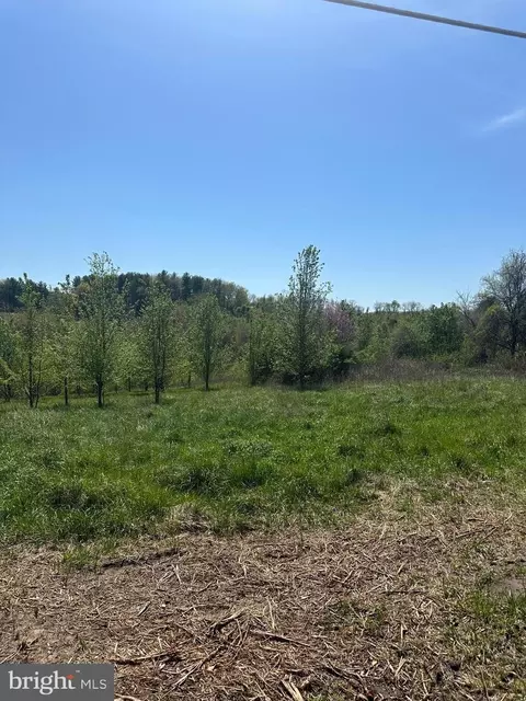5760 Bartonsville Rd S, Frederick, MD 21704 photo 21
