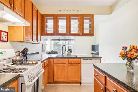 2250 Bear Den Rd #203, Frederick, MD 21701 photo 14