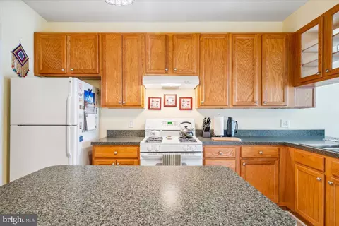 2250 Bear Den Rd #203, Frederick, MD 21701 photo 16