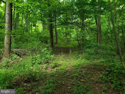 4302 Fishers Hollow Rd, Myersville, MD 21773