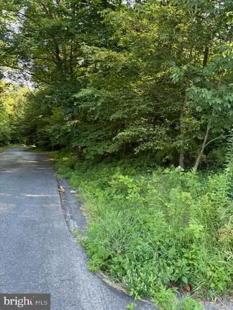 14517 Tower, Smithsburg, MD 21783 photo 2