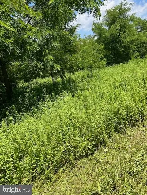 14521 Tower, Smithsburg, MD 21783 photo 4