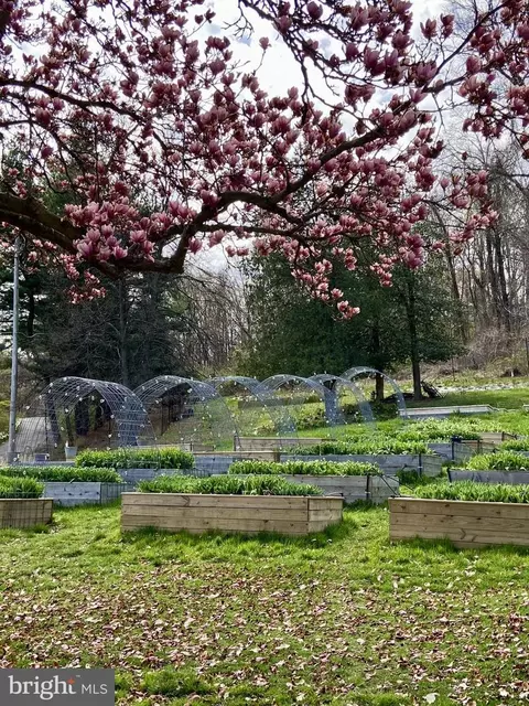 Other - 5316 Stone Rd, Frederick, MD 21703 photo 17 of 39