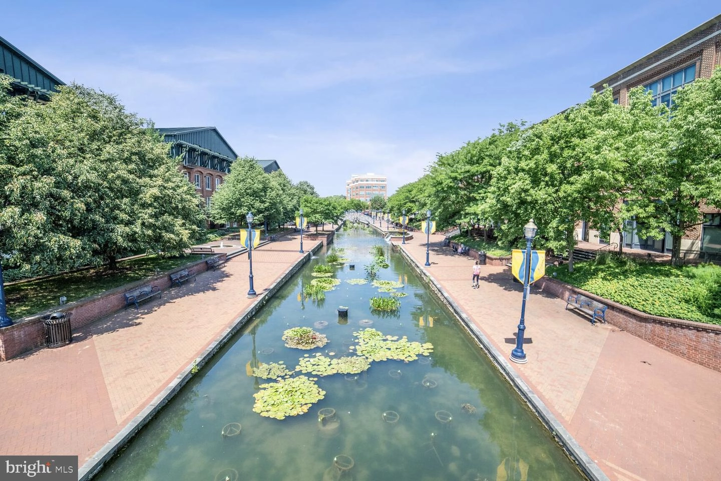 View/Area - 35 E All Saints St #117, Frederick, MD 21701 photo 2 of 3