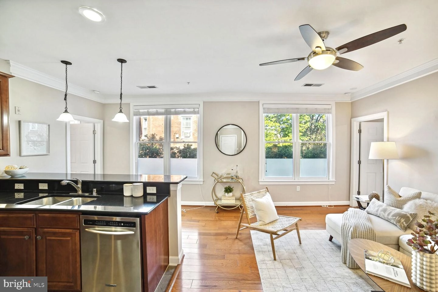 Living - 35 E All Saints St #117, Frederick, MD 21701 photo 1 of 1