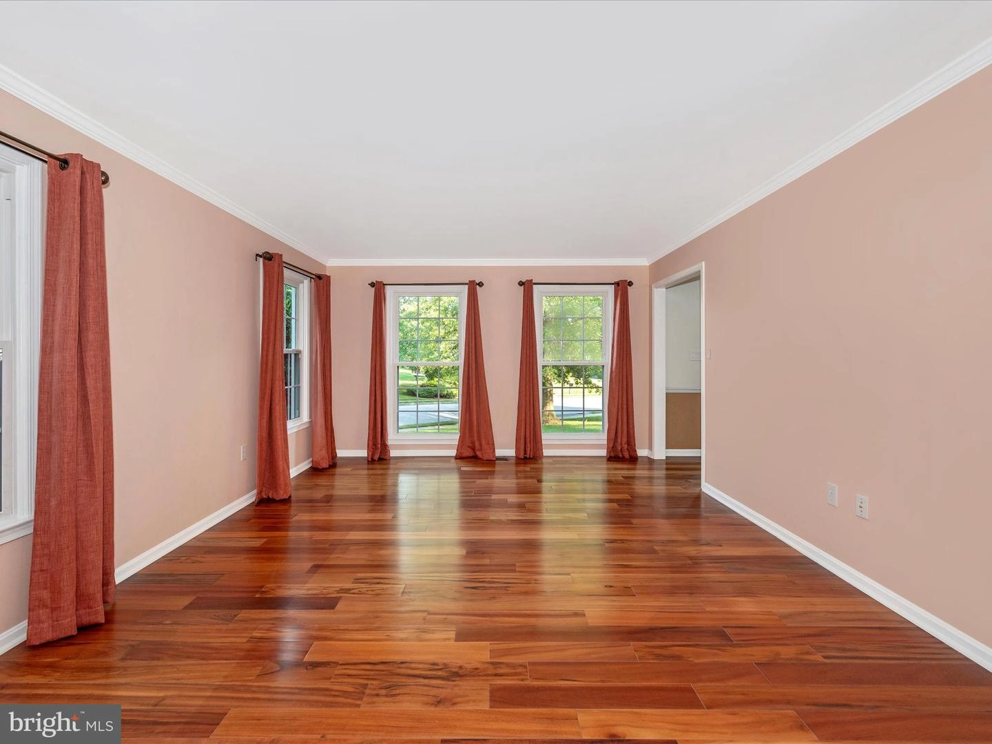 Living - 9014 Spring Meadow Cir, Frederick, MD 21701 photo 6 of 12