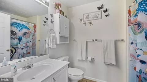 905 Blue Leaf Ct #E, Frederick, MD 21701 photo 17
