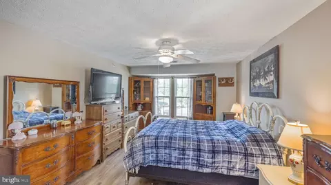 905 Blue Leaf Ct #E, Frederick, MD 21701 photo 15