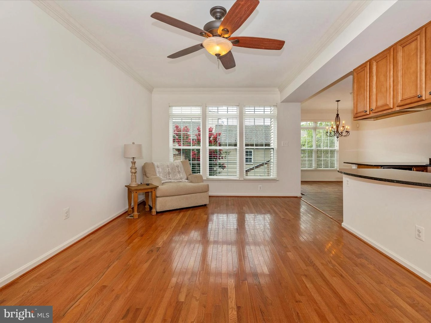 Living - 2526 Mill Race Rd, Frederick, MD 21701 photo 3 of 10