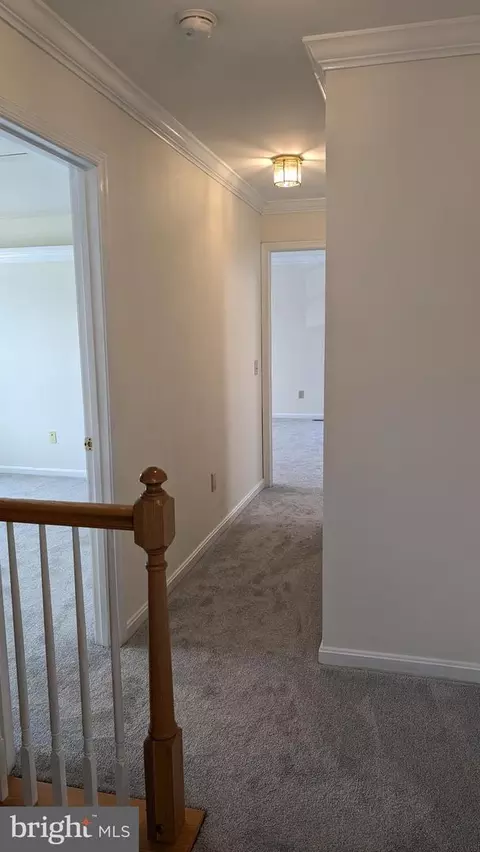 1411 Bluewing Ct, Frederick, MD 21703 photo 22
