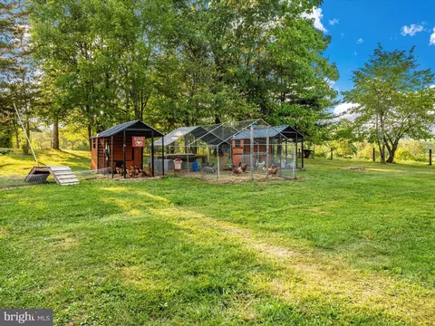 6832 Willis Ln, Frederick, MD 21702 photo 46