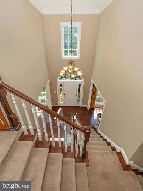 9110 Belvedere Dr, Frederick, MD 21704 photo 5
