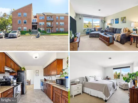 100 Chapel Ct #319, Walkersville, MD 21793