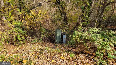 Beall Drive, Frederick, MD 21704 photo 9