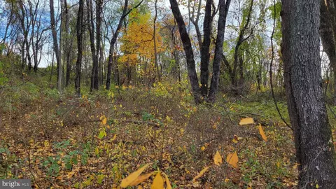 Beall Drive, Frederick, MD 21704 photo 6