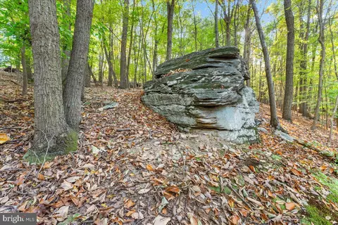 Other - 4507 Shaff Ln, Frederick, MD 21703 photo 26 of 30