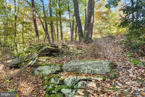 Other - 4507 Shaff Ln, Frederick, MD 21703 photo 27 of 30