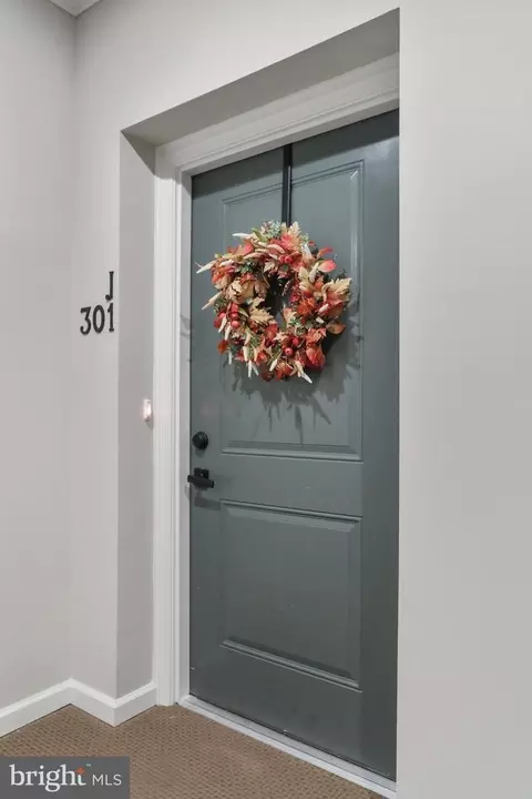 3272 Pine Needle Cir #301, Frederick, MD 21704 photo 71