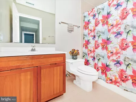 Bath - 6015 White Flint Dr, Frederick, MD 21702 photo 10 of 10