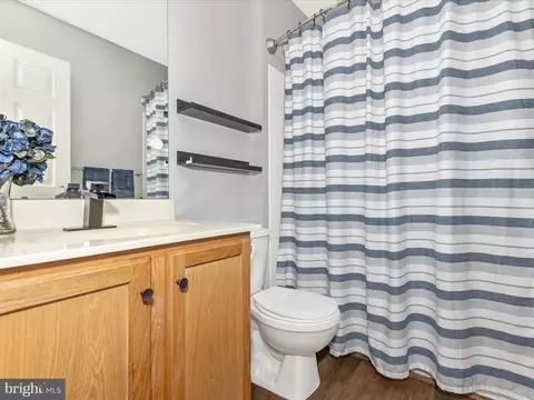 Bath - 5060 Croydon Ct, Frederick, MD 21703 photo 3 of 3