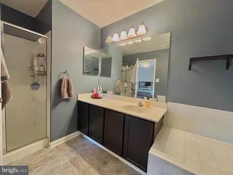 Bath - 160 Heathfield Dr, Frederick, MD 21702 photo 3 of 3