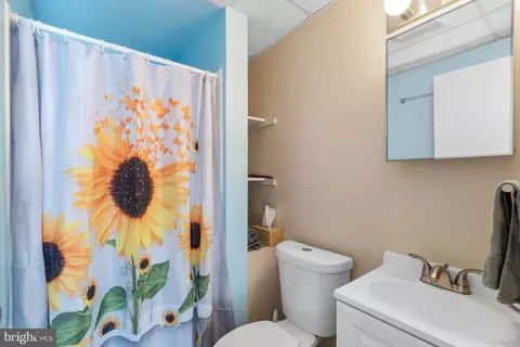 1630 Andover Ln, Frederick, MD 21702 photo 31