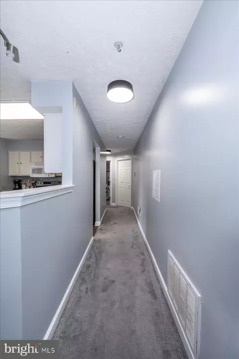 6341 Springwater Ter #9301, Frederick, MD 21701 photo 27