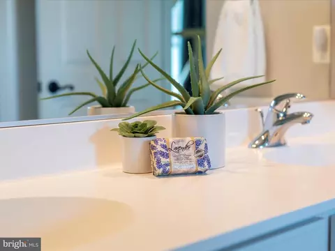 Bath - 3608 John Simmons Ct, Frederick, MD 21704 photo 6 of 8