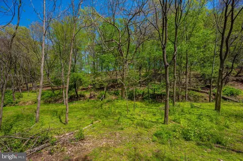 Other - 3521 Franks Ter, Monrovia, MD 21770 photo 51 of 55