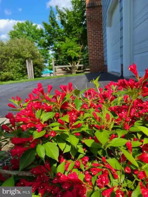 Other - 8165 Stone Ridge Dr, Frederick, MD 21702 photo 4 of 22