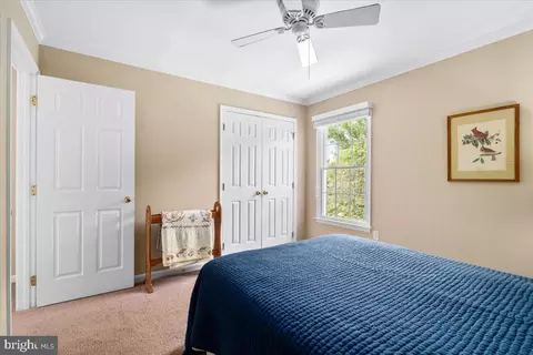 Bedroom - 116 Mariam Pass, Middletown, MD 21769 photo 6 of 7